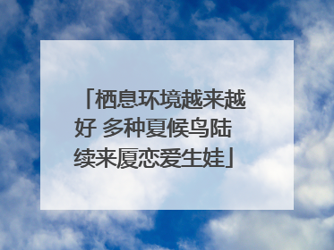 栖息环境越来越好 多种夏候鸟陆续来厦恋爱生娃