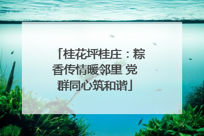 桂花坪桂庄：粽香传情暖邻里 党群同心筑和谐