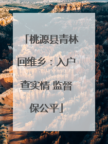 桃源县青林回维乡：入户查实情 监督保公平