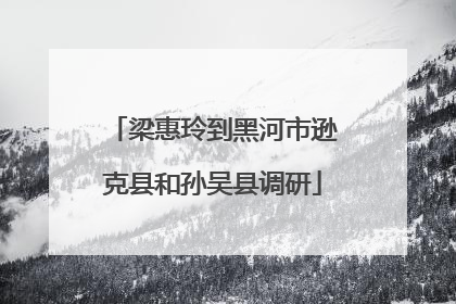 梁惠玲到黑河市逊克县和孙吴县调研