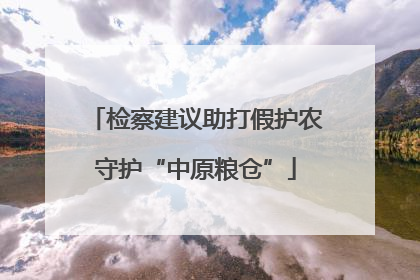 检察建议助打假护农守护“中原粮仓”