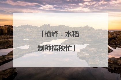 横峰：水稻制种插秧忙