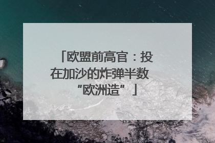 欧盟前高官：投在加沙的炸弹半数“欧洲造”