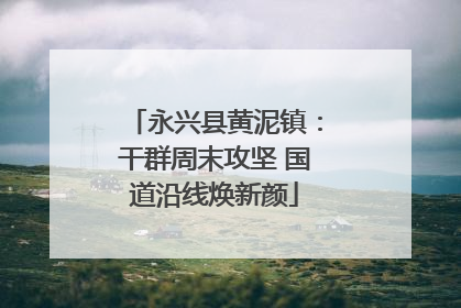 永兴县黄泥镇：干群周末攻坚 国道沿线焕新颜