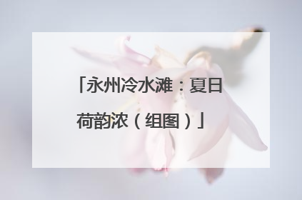 永州冷水滩：夏日荷韵浓（组图）