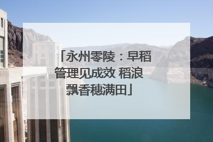 永州零陵：早稻管理见成效 稻浪飘香穗满田