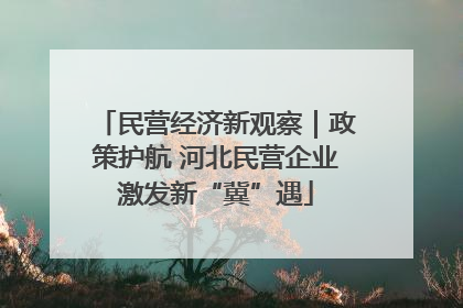 民营经济新观察｜政策护航 河北民营企业激发新“冀”遇