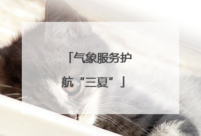 气象服务护航“三夏”