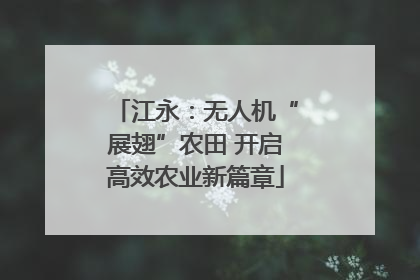 江永：无人机“展翅”农田 开启高效农业新篇章