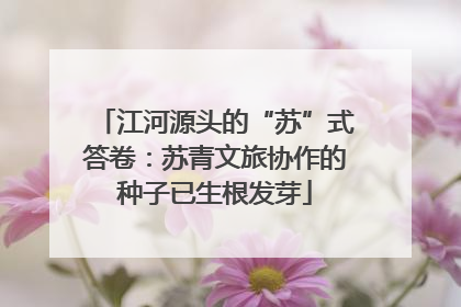 江河源头的“苏”式答卷：苏青文旅协作的种子已生根发芽