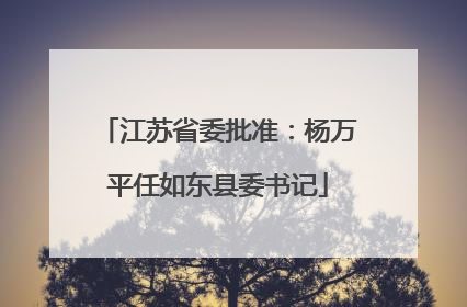 江苏省委批准：杨万平任如东县委书记