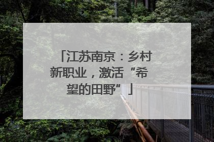 江苏南京：乡村新职业，激活“希望的田野”