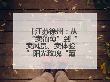 江苏徐州：从“卖葡萄”到“卖风景、卖体验”阳光玫瑰“葡”就致富路