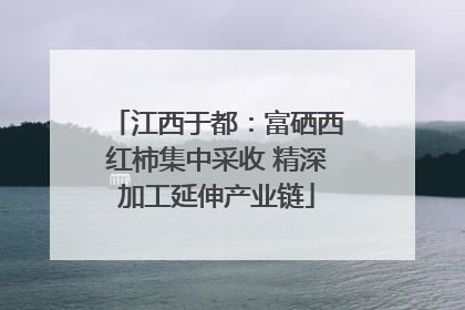 江西于都：富硒西红柿集中采收 精深加工延伸产业链