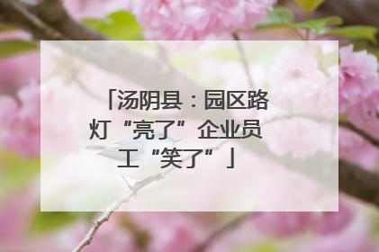 汤阴县：园区路灯“亮了”企业员工“笑了”