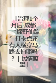 治理1个月后 成都“绿野仙踪”打卡点还有人横穿马路去拍照吗？｜民情瞭望