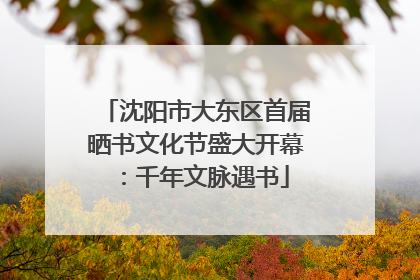沈阳市大东区首届晒书文化节盛大开幕：千年文脉遇书