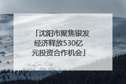 沈阳市聚焦银发经济释放530亿元投资合作机会