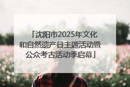 沈阳市2025年文化和自然遗产日主题活动暨公众考古活动季启幕