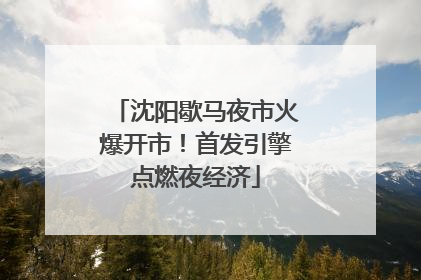 沈阳歇马夜市火爆开市！首发引擎点燃夜经济
