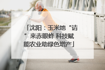 沈阳：玉米地“请”来赤眼蜂 科技赋能农业助绿色增产