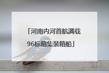 河南内河首航满载96标箱集装箱船