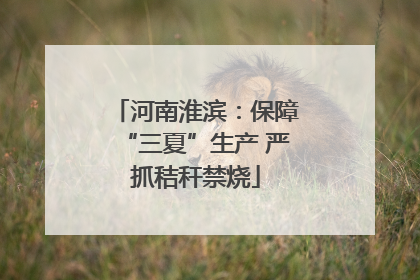 河南淮滨：保障“三夏”生产 严抓秸秆禁烧