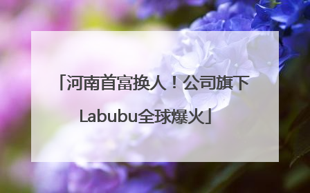 河南首富换人！公司旗下Labubu全球爆火