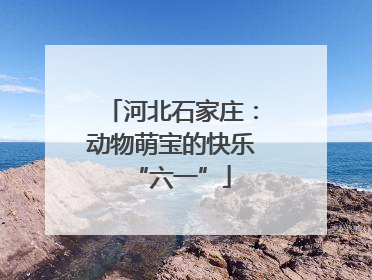 河北石家庄：动物萌宝的快乐“六一”