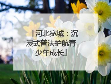 河北宽城：沉浸式普法护航青少年成长