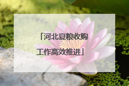 河北夏粮收购工作高效推进