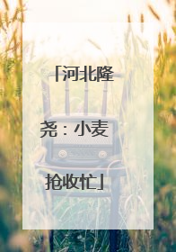 河北隆尧：小麦抢收忙