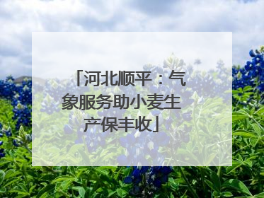 河北顺平：气象服务助小麦生产保丰收