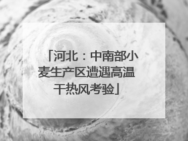 河北：中南部小麦生产区遭遇高温干热风考验