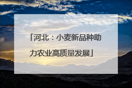 河北：小麦新品种助力农业高质量发展