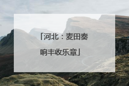 河北：麦田奏响丰收乐章
