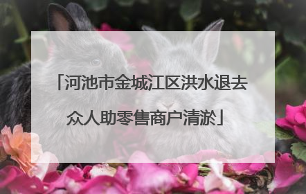河池市金城江区洪水退去 众人助零售商户清淤