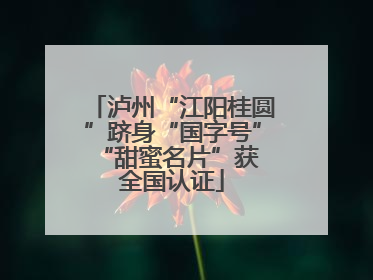 泸州“江阳桂圆”跻身“国字号” “甜蜜名片”获全国认证