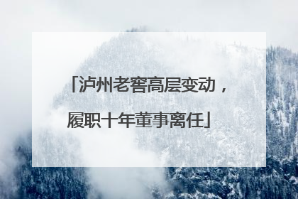 泸州老窖高层变动，履职十年董事离任
