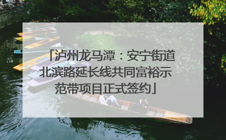 泸州龙马潭：安宁街道北滨路延长线共同富裕示范带项目正式签约