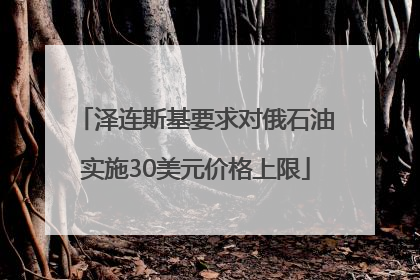 泽连斯基要求对俄石油实施30美元价格上限