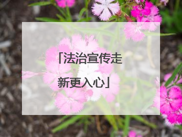 法治宣传走新更入心