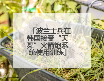波兰士兵在韩国接受“天舞”火箭炮系统使用训练