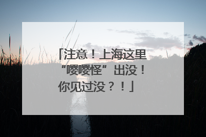 注意！上海这里“嘤嘤怪”出没！你见过没？！