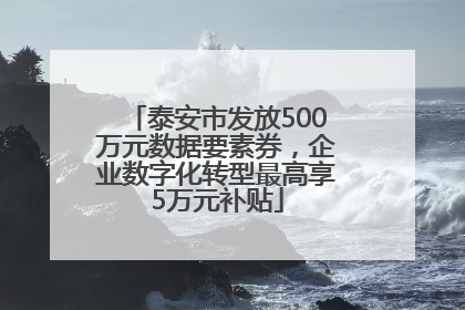 泰安市发放500万元数据要素券，企业数字化转型最高享5万元补贴