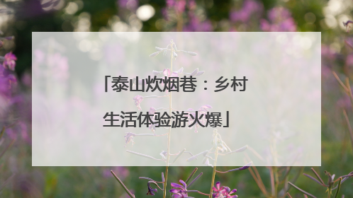 泰山炊烟巷：乡村生活体验游火爆