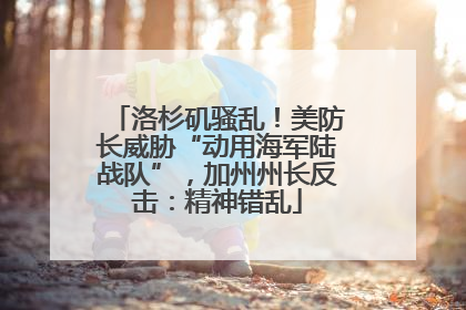 洛杉矶骚乱！美防长威胁“动用海军陆战队”，加州州长反击：精神错乱