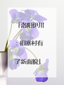 洛阳伊川：旧寨村有了新面貌