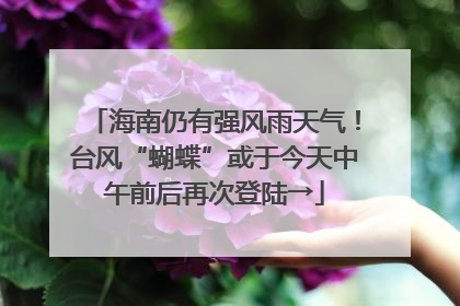 海南仍有强风雨天气！台风“蝴蝶”或于今天中午前后再次登陆→
