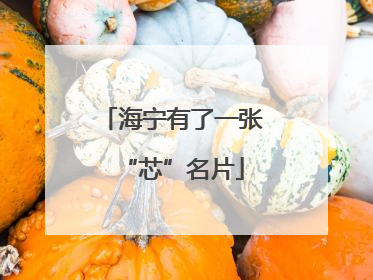 海宁有了一张“芯”名片
